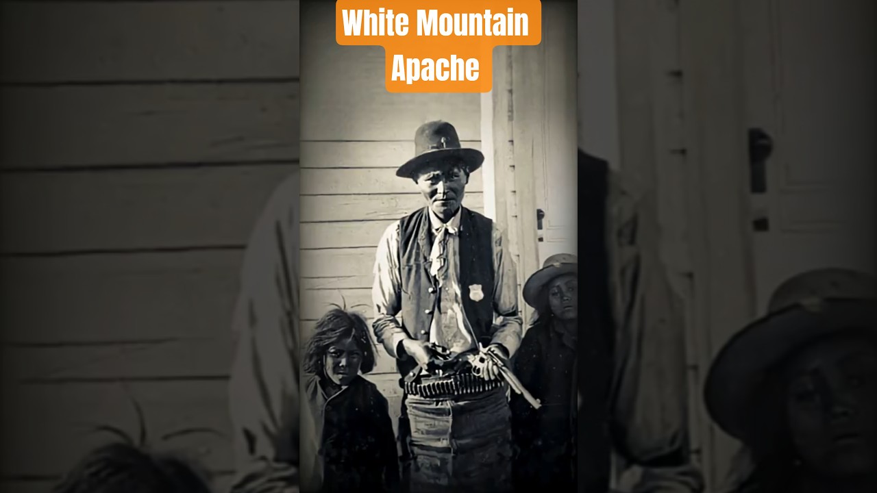 White Mountain Apache