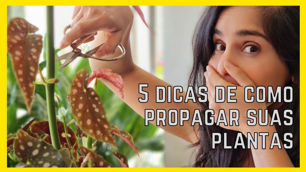 (COMO FAZER MUDAS) de PLANTAS : 5 DICAS para PARA ENRAIZAR GALHOS, FOLHAS E NÃO PERDER uma muda