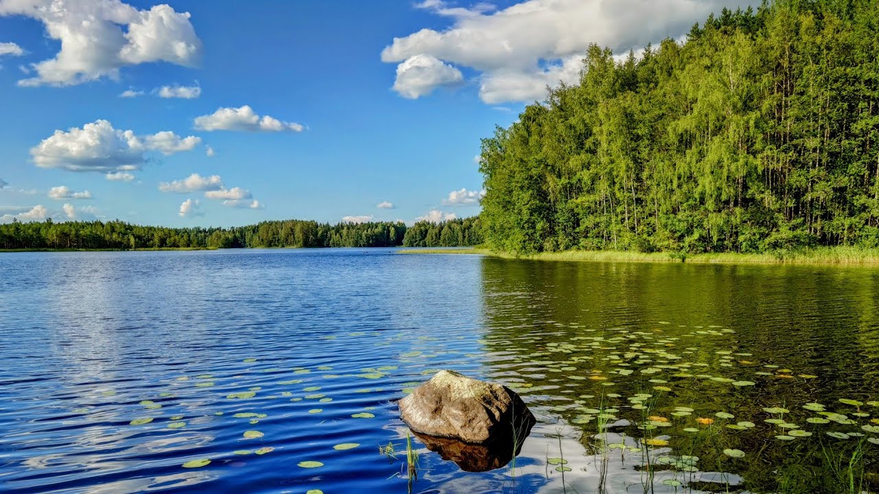 Laavulenkki - Pääjärven virkistysalue, Loppi Finland 4K  2024