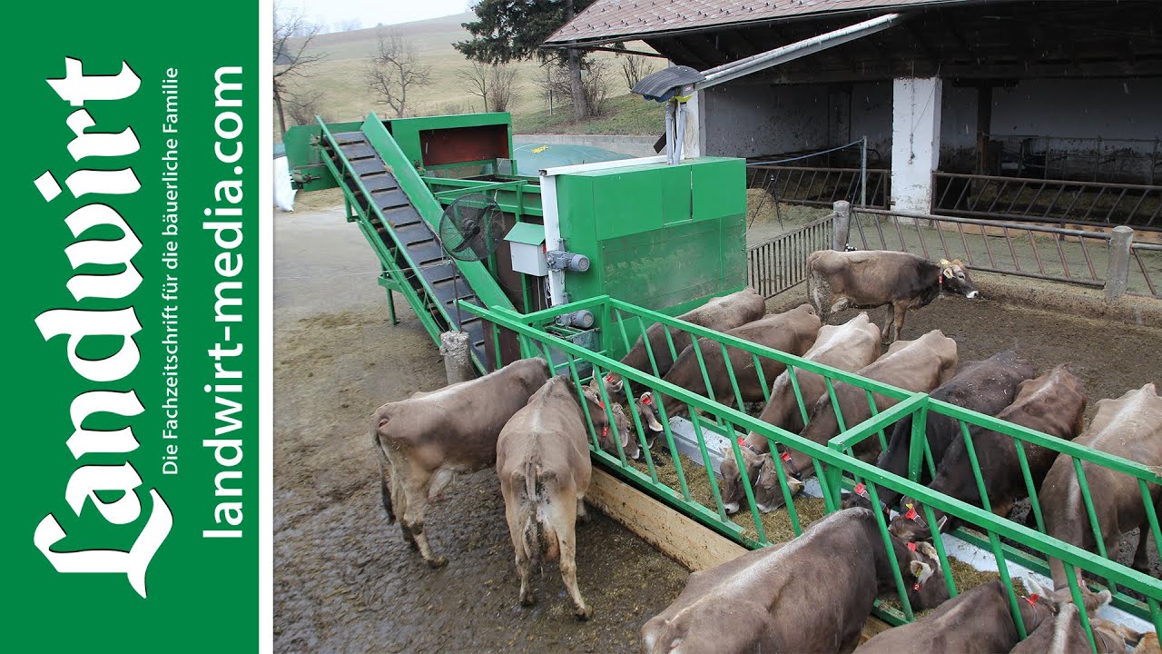 Eigenbau: Flexibel füttern am Förderband | landwirt-media.com