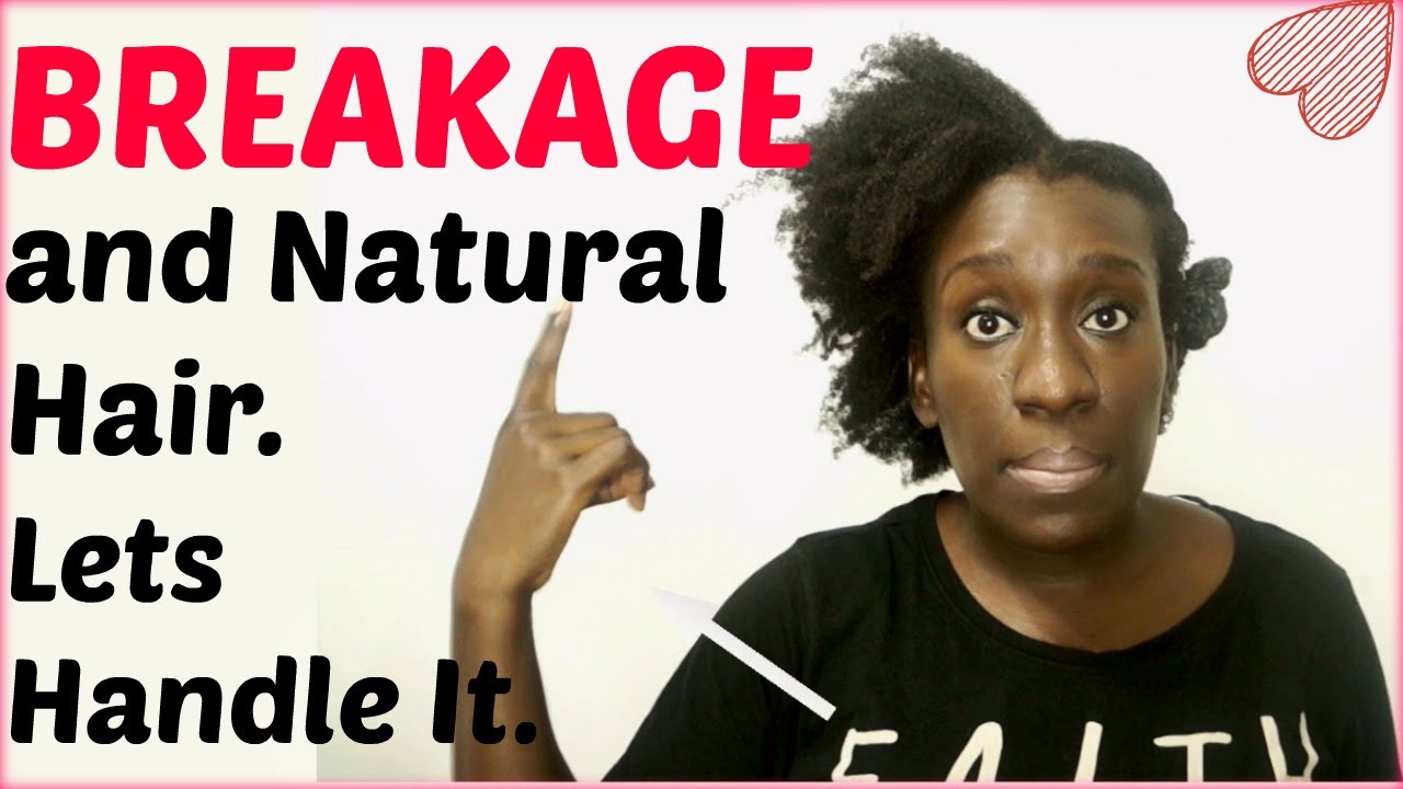 Causes of Natural Hair Breakage and Shedding | Tips for Type 4 Hair Breakage