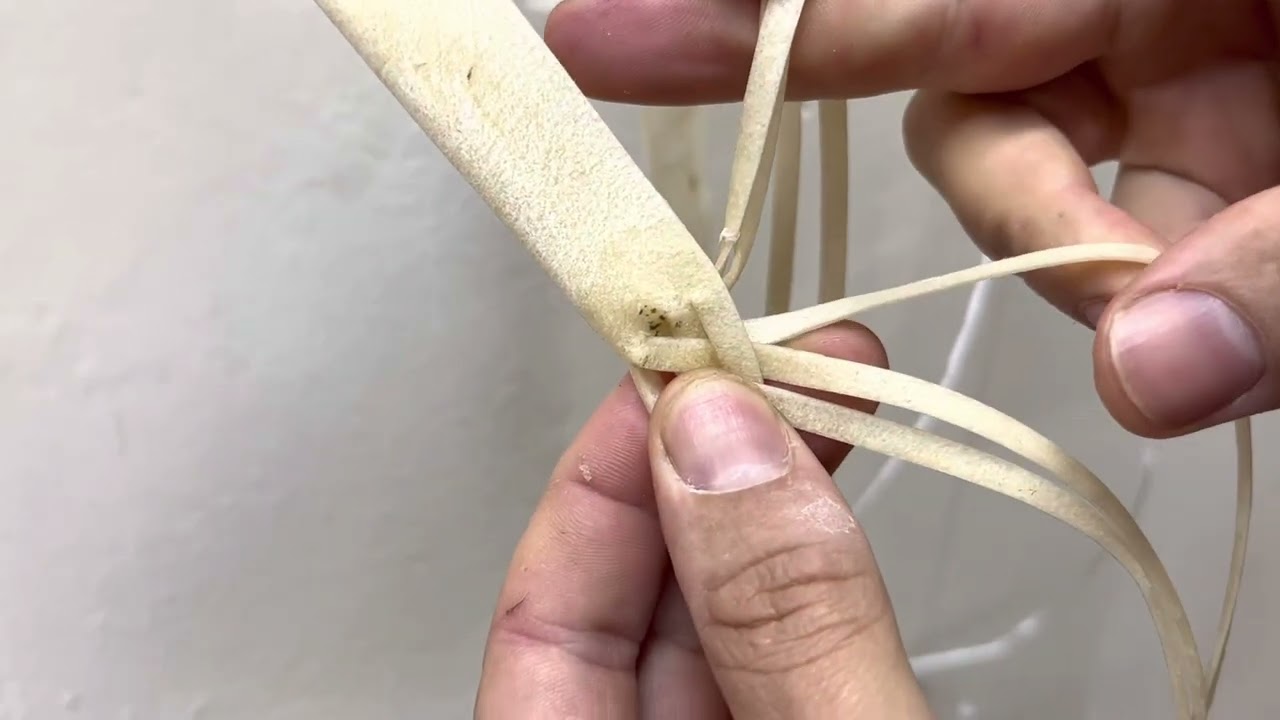 Como fazer a saída perfeita da trança de 8 tentos redonda saindo da tala. Trança para rebenque.