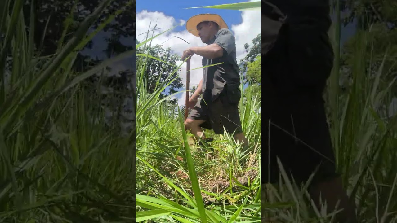 16 de fevereiro de 2026