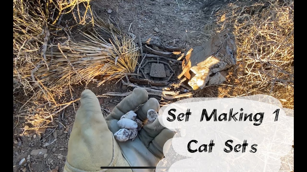 Set Making: How to Make an Exposed Walkthrough Cat Set