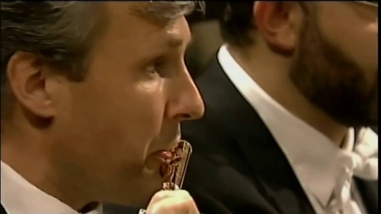 Anton&iacute;n Dvor&aacute;k Symphony No 8 G major Neville Marriner RTSI Orchestra