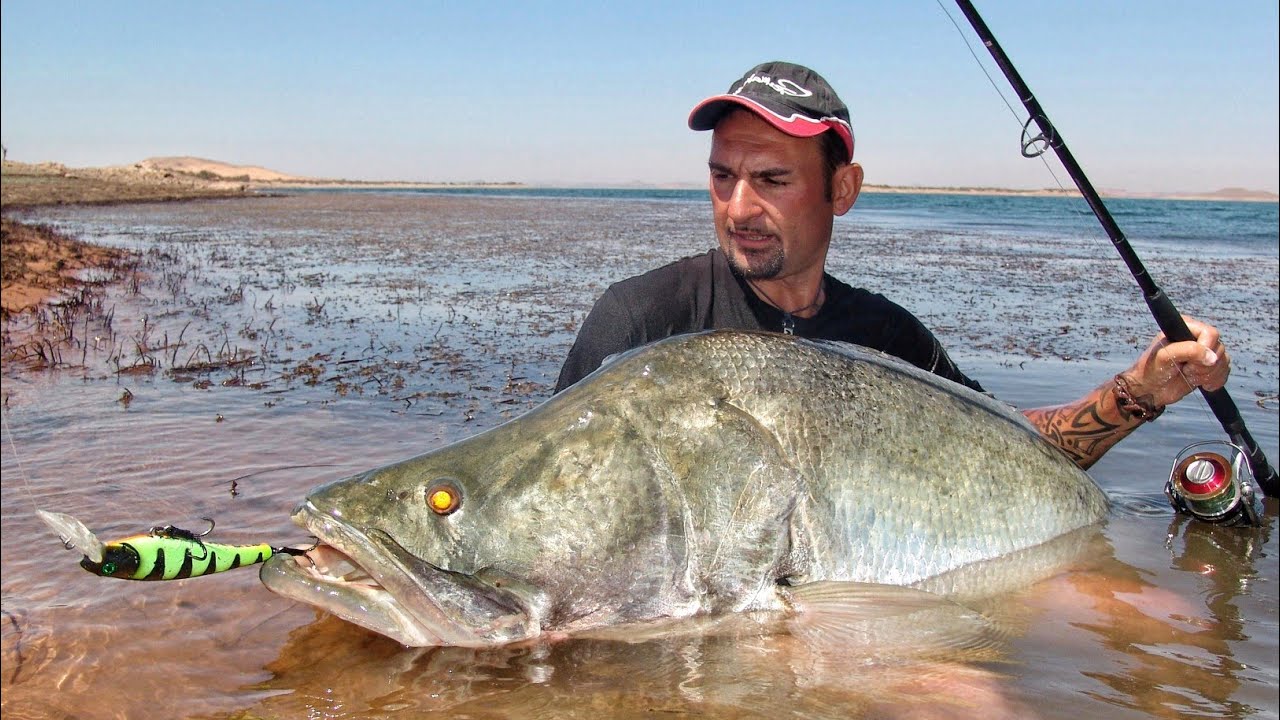 PERSICO DEL NILO GIGANTE 52 KG SUL LAGO NASSER IN EGITTO - HD by YURI GRISENDI