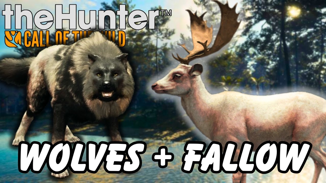 Wolf + Fallow Great One Grind Marathon! | theHunter COTW