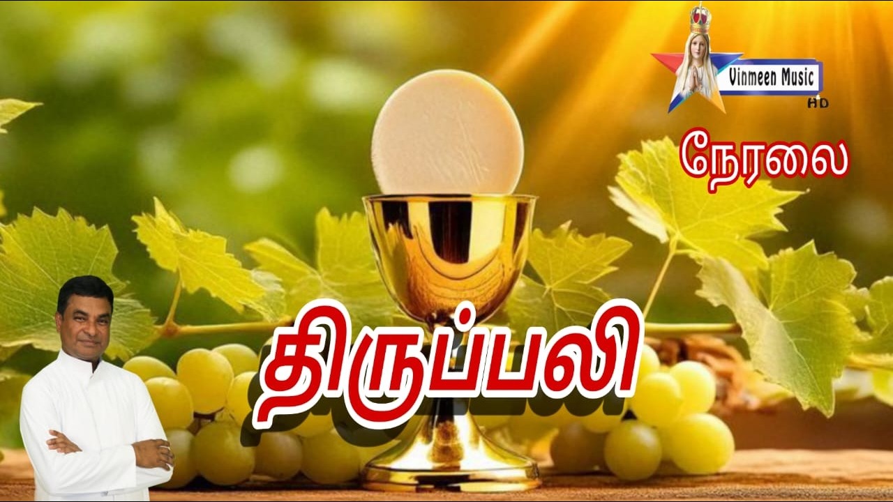 🔴Live | Our Lady of Rosary Church Holy Mass | 16-02-2026 | Duraikudieruppu | Vinmeen Music