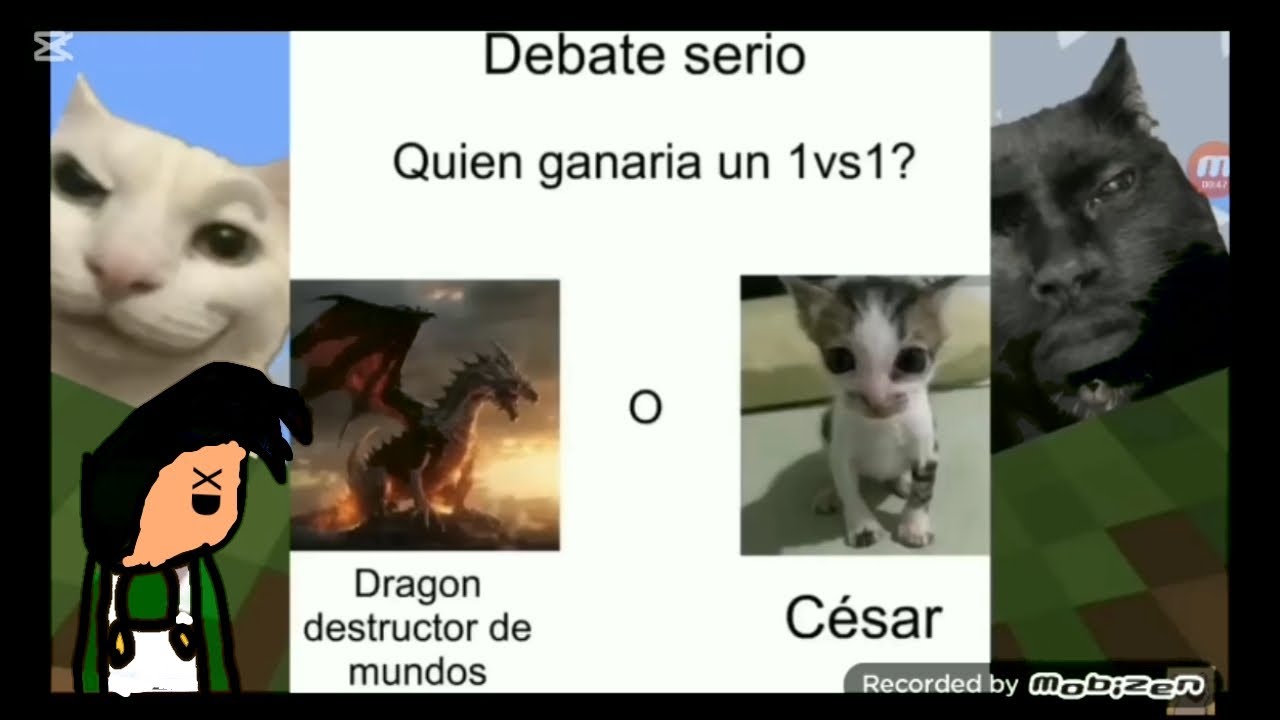 Memes XD para pasar un buen rato