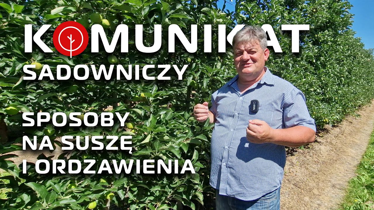 Sprawdzone sposoby na upały - Komunikat Sadowniczy - Zbigniew Marek