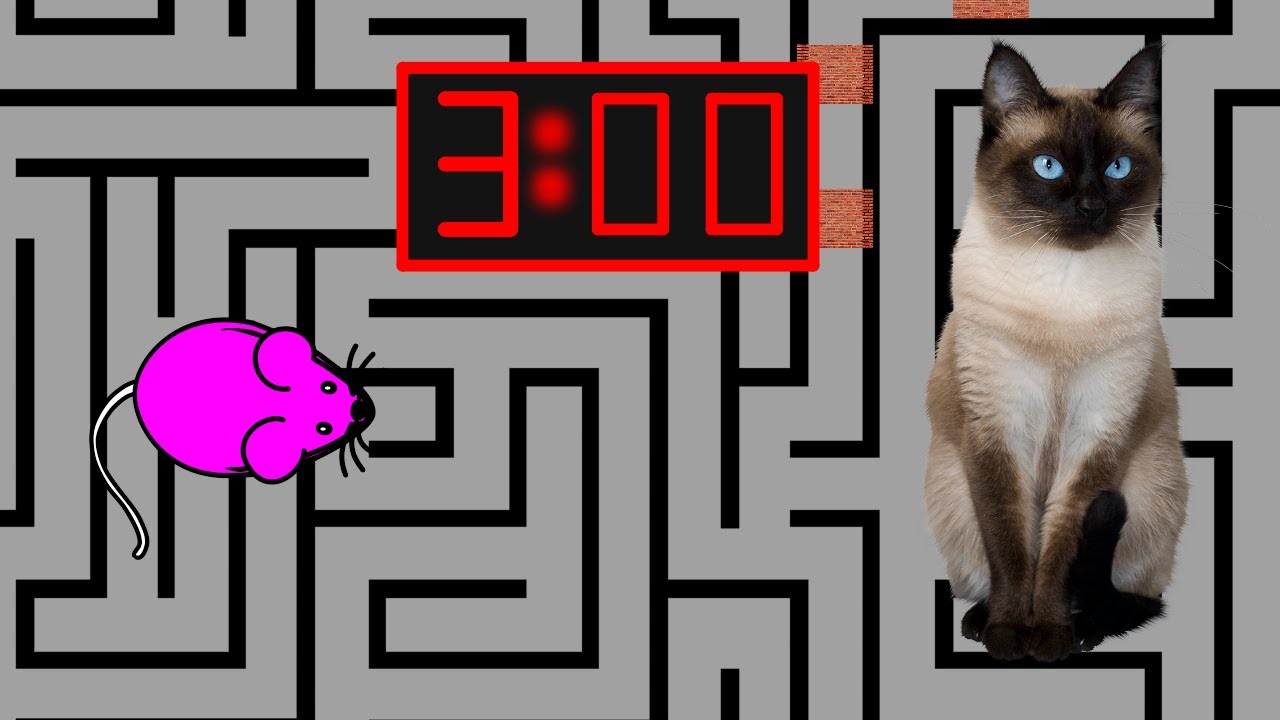 3 Minute Timer [MOUSE MAZE] 🐭