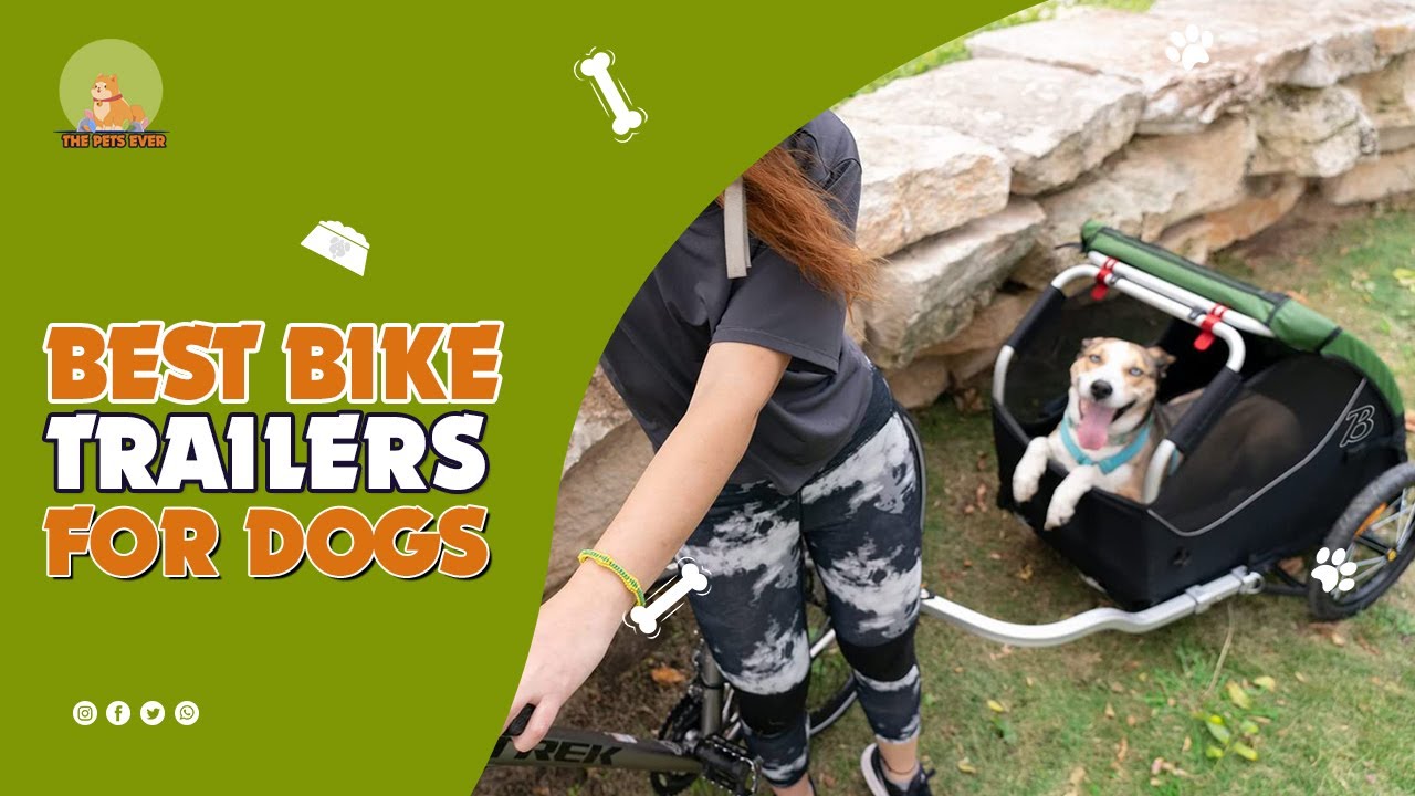 The Best Bike Trailers for Dogs - Best Products Guided!