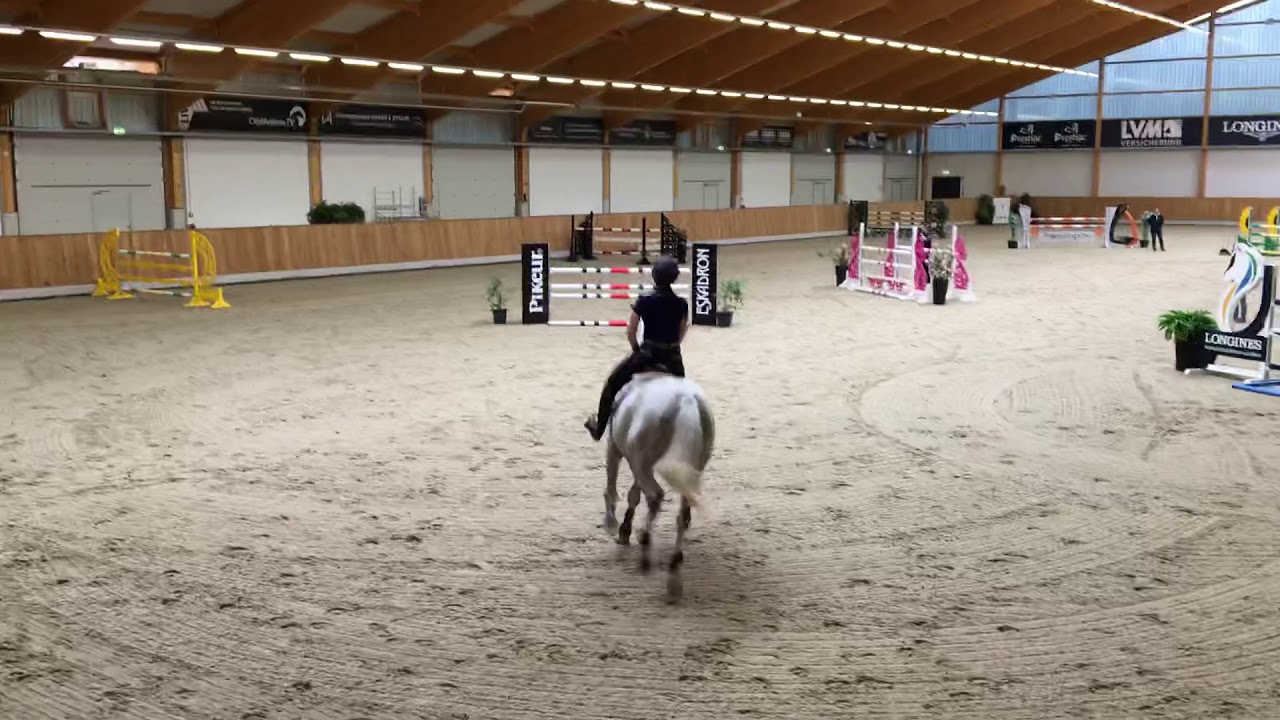 Training course jumping with Ludger Beerbaum