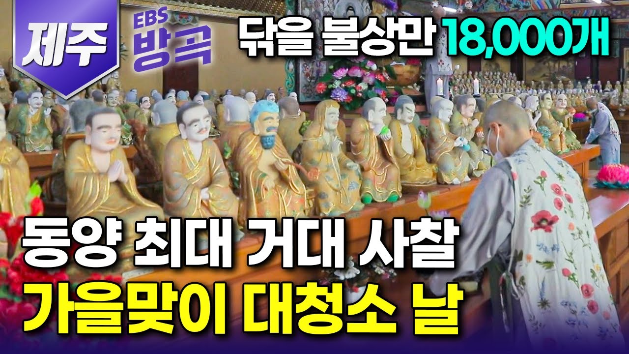 [제주] 닦아야 할 불상만 18,000개? 동양 최대 규모 거대 사찰의 가을맞이 대청소 날｜제주 올레길 바다 품은 8층 높이 '약천사'｜국내여행｜#한국기행 #방방곡곡
