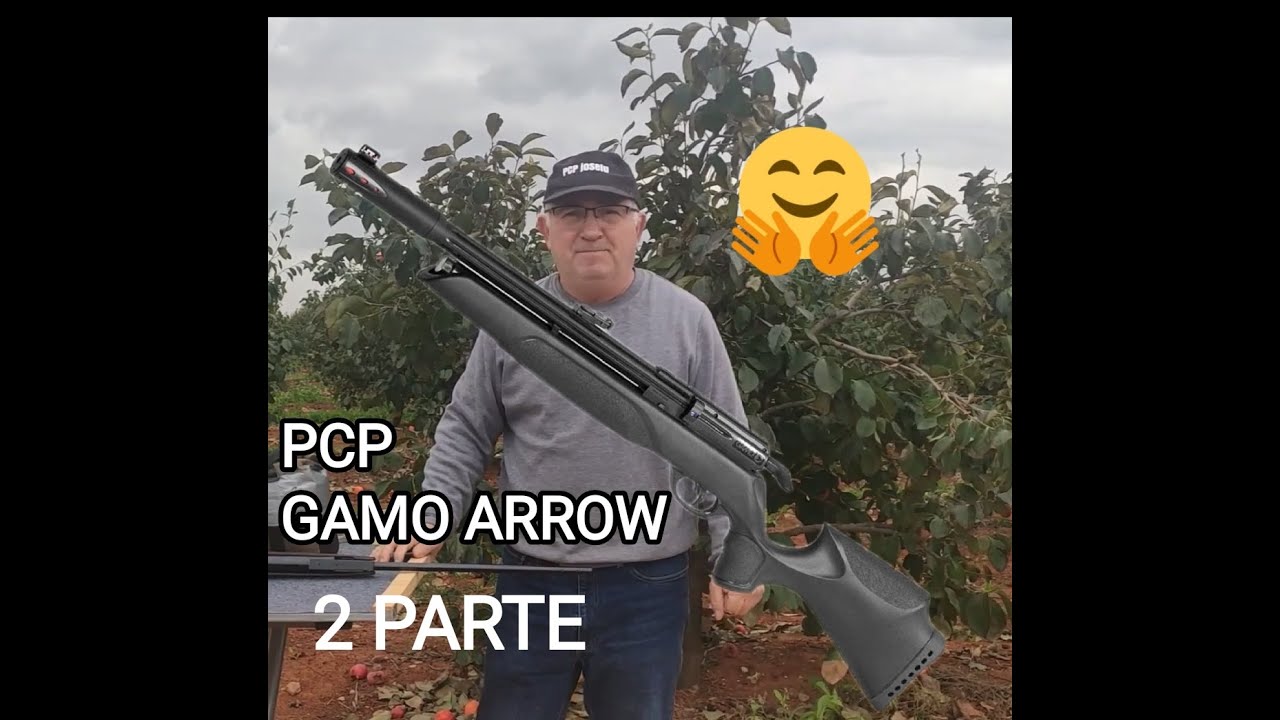 EVALUANDO EL PCP GAMO ARROW// 2 PARTE #joselucarabinaspcp