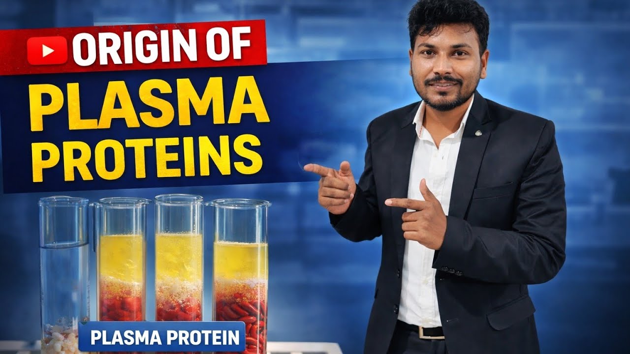 Origin of Plasma Proteins | Plasma Proteins कहाँ बनते हैं? | Physiology Lecture Hindi