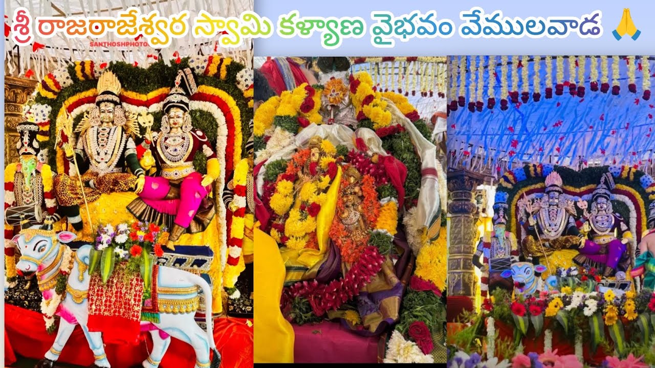 @ శివయ్య కళ్యాణ వైభోగం చూసే అదృష్టం కలిగింది… రాజన్న ఆశీస్సులు అందరికీ కలగాలి 🙏🕉️