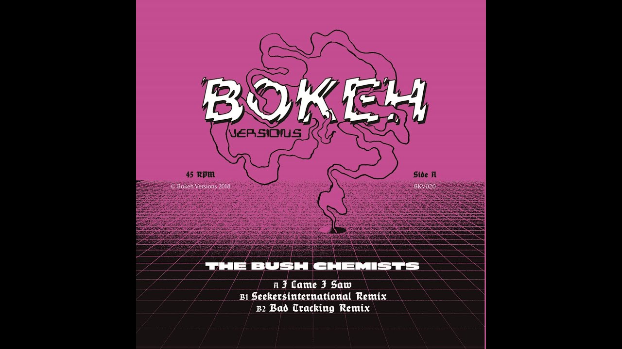 The Bush Chemists - I Came I Saw Remixes (Bokeh Versions - 2018)