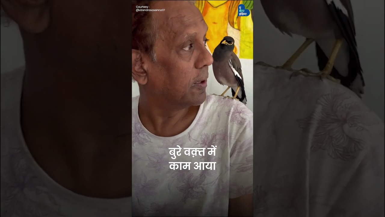 मैना और सक्सेना की दोस्ती | Virendra Saxena | Bird Lover | Friendship Goals | The Better India Hindi