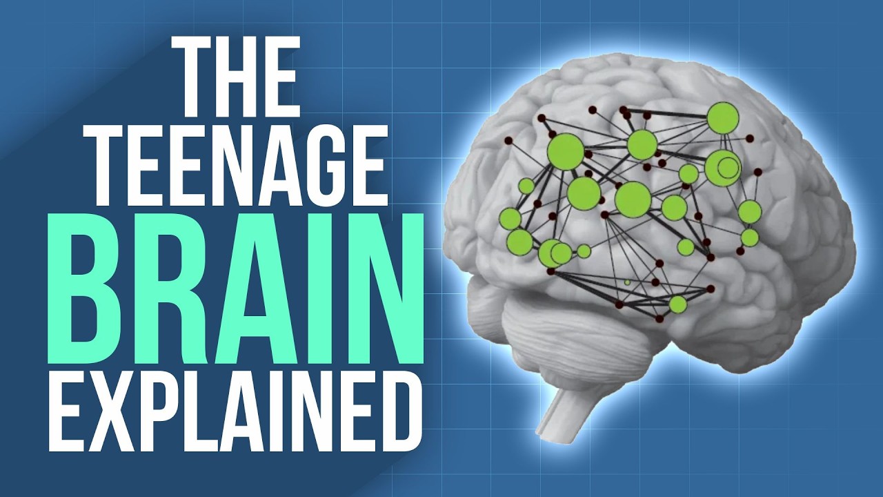 How does the Teenage Brain work? ⚙️ Brain development in Adolescence (a video by Sam.K Parenting)