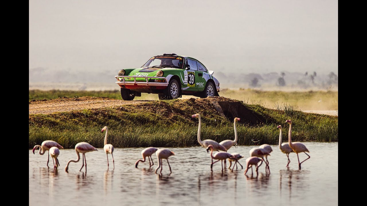 The Tuthill Safari Film