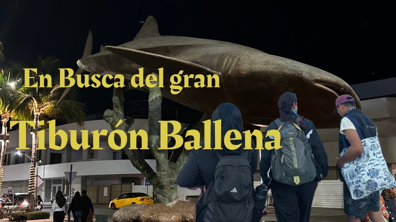 En busca de Gran Tiburón Ballena