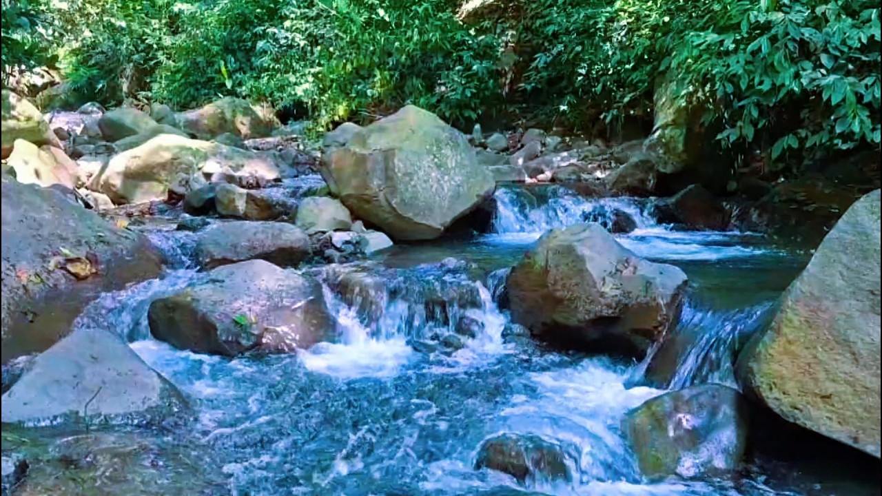 Calm River Ambience for Evening Peace