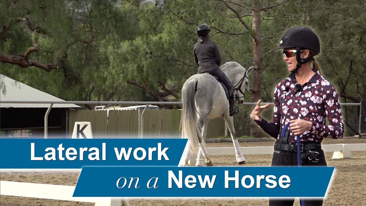 Lateral Work with a Sensitive Horse