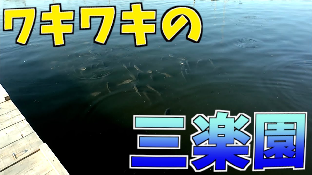 三楽園でワキワキ両ダンゴ