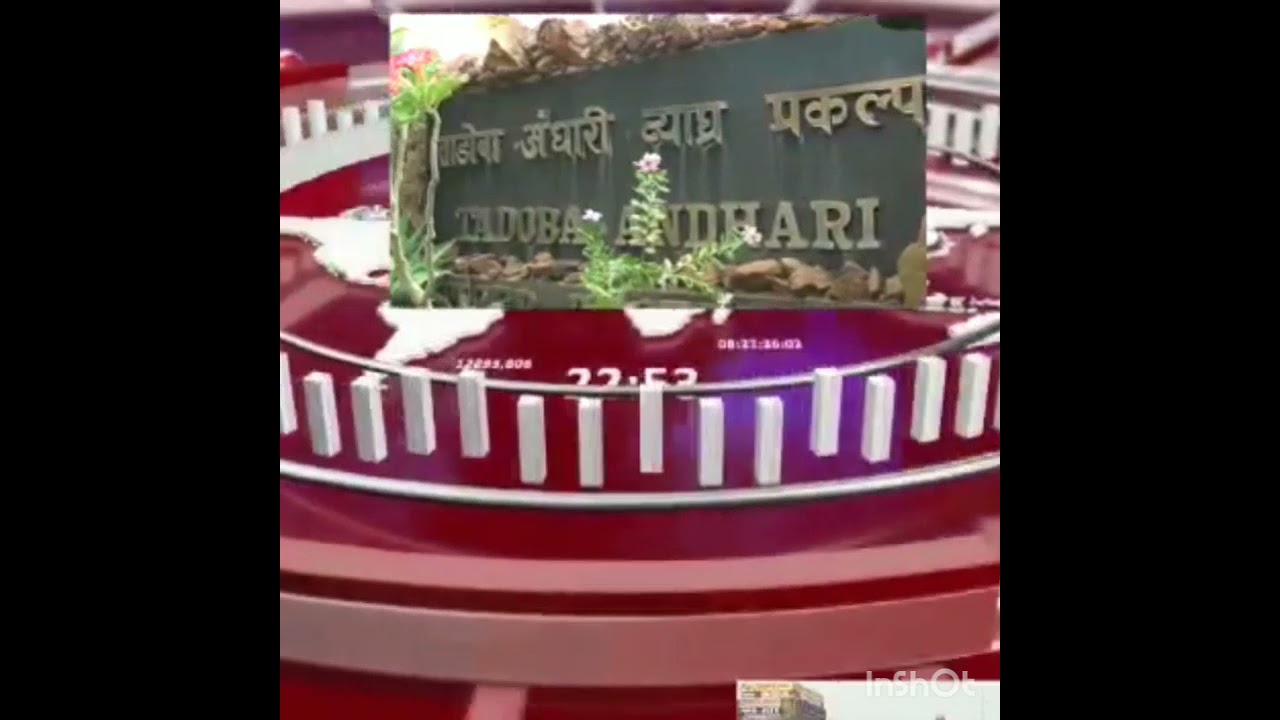 Wardha Murder Accused Arrest