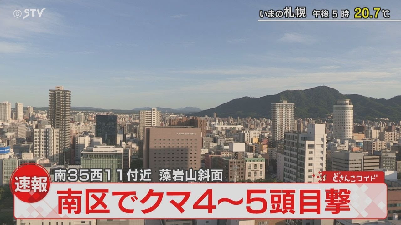 【LIVEアーカイブ】藻岩山の斜面でヒグマ4～5頭を目撃　札幌市が注意を呼びかけ