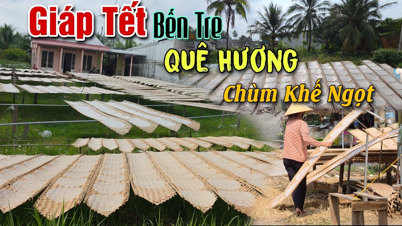 TẾT MIỀN TÂY 2026 BỒI HỒI NHỚ VỊ TẾT XƯA LÀNG NGHỀ BÁNH TRÁNG XỨ DỪA HỐI THÚC LÒNG NGƯỜI CON XA XỨ 