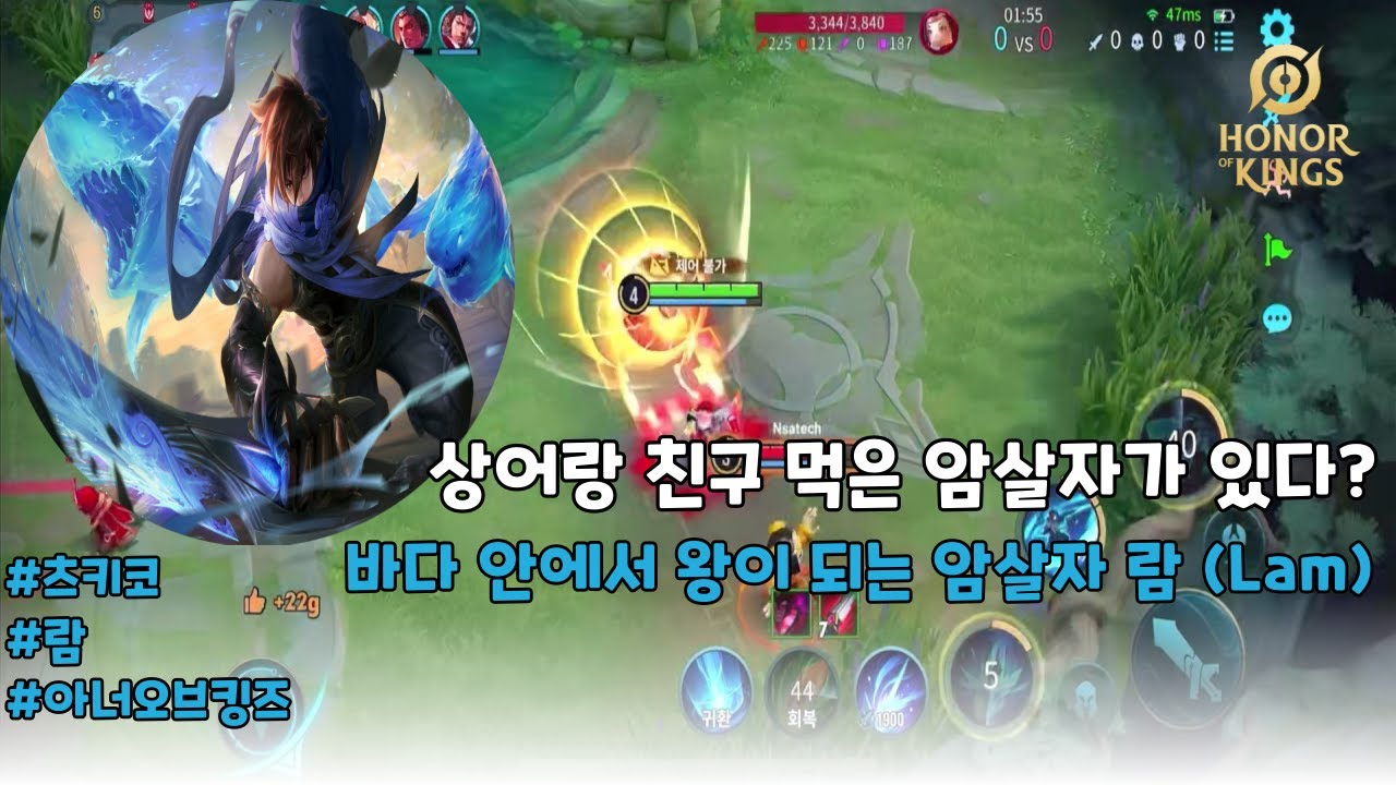 (王者荣耀) (澜) 상어와 친한 암살자 람 (Lam) | 아너 오브 킹즈 | Honor of Kings | 츠키코