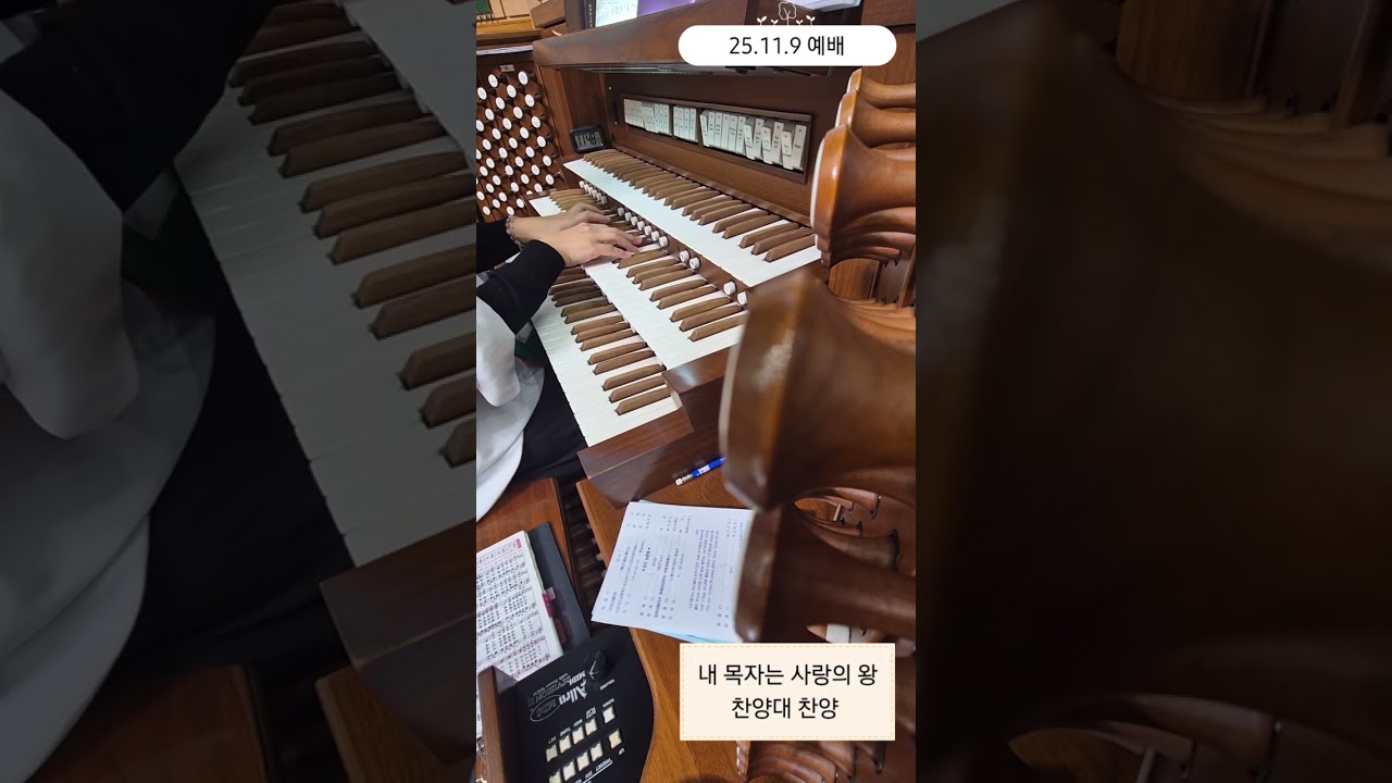 25.11.9 예배/  주의 은혜라 (손경민)- 오르간전주, 오르간후주/ 내 목자는 사랑의 왕 -  찬양대 찬양 