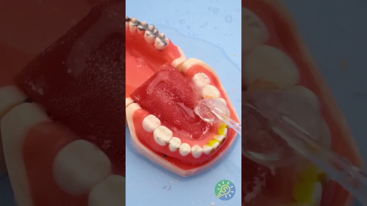 Gute Mundhygiene-Routine 🦷