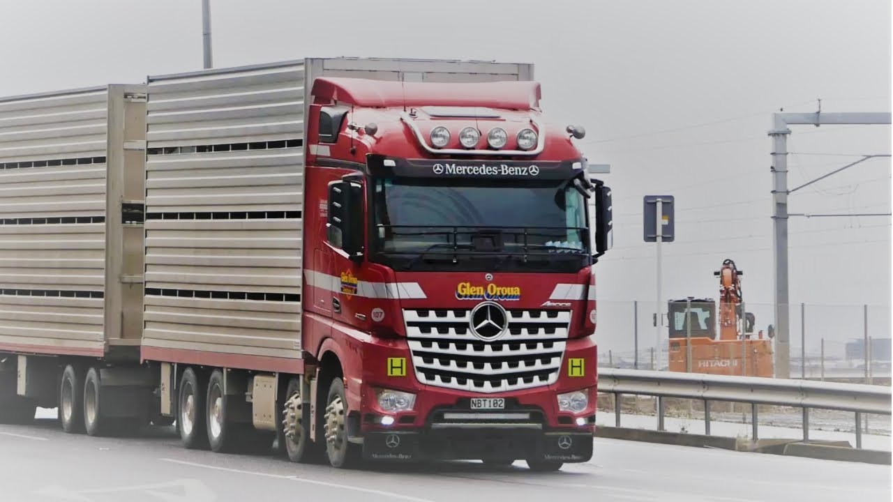 New Zealand Trucks, Capital City Wellington (Petone fav spot in NZ)