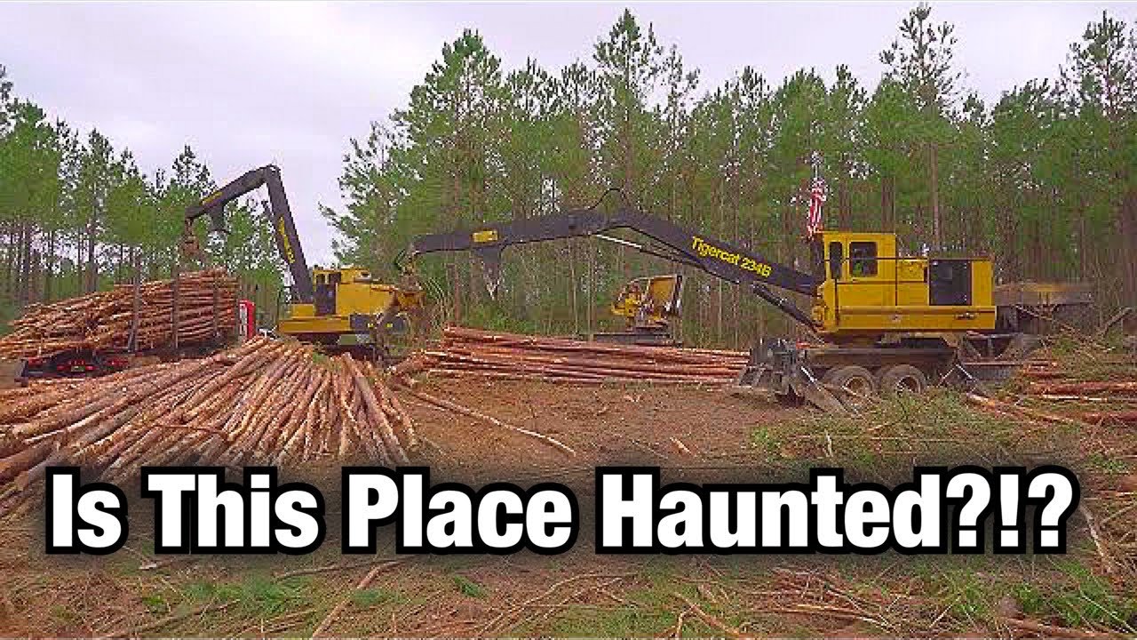Starting A Second Thin That May Be Haunted