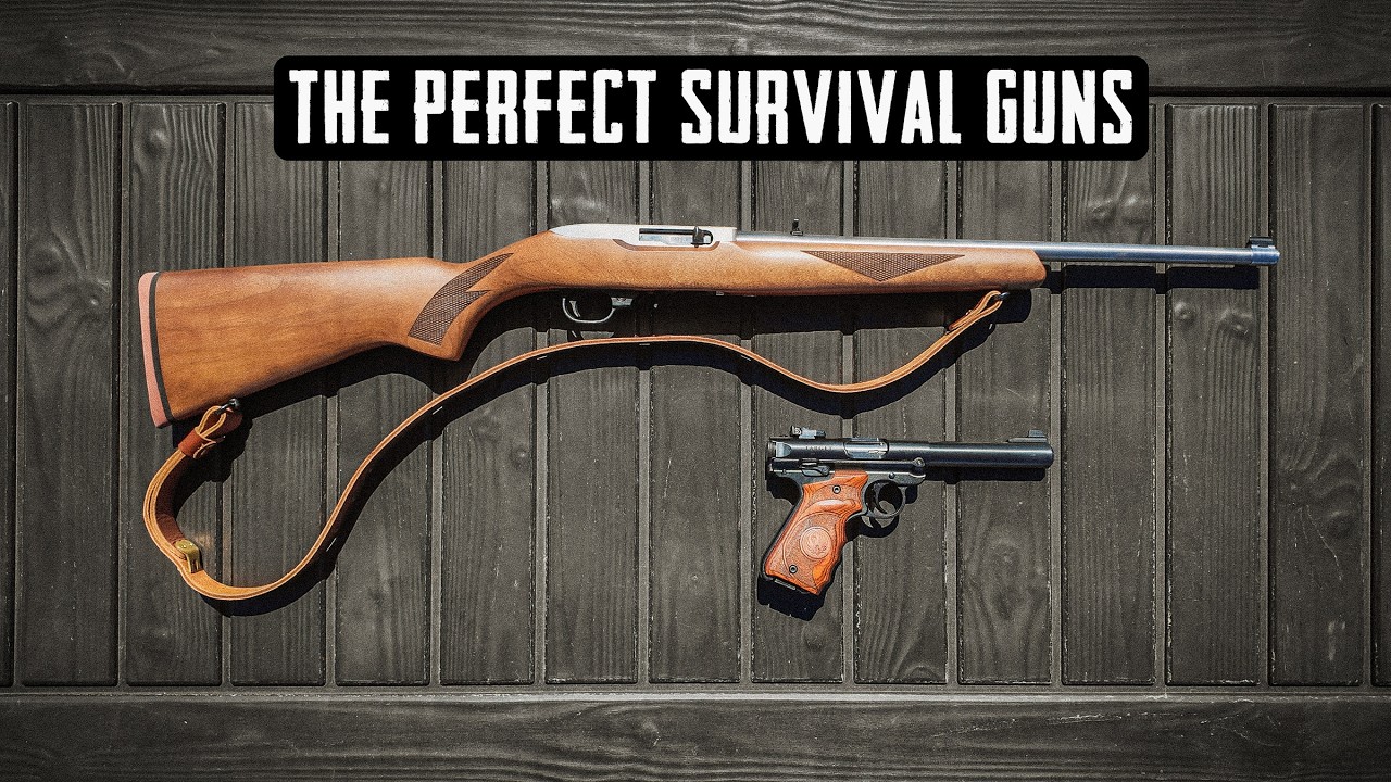 The PERFECT Survival Gun Duo