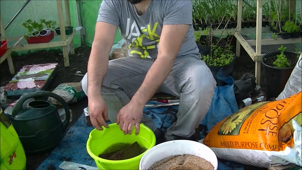 What is Vermiculite,Perlite,Coco Coir How I Make My Seed Sowing Compost! (Urdu/Hindi)