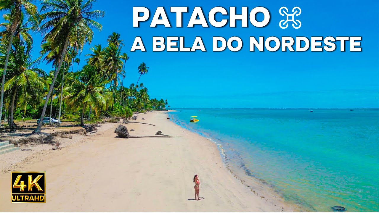 ALAGOAS PATACHO VISTA AEREA DA BELA PRAIA EM 4K