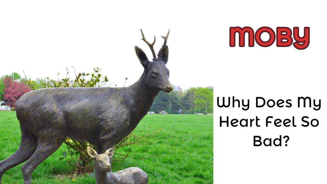 Moby | Why Does My Heart Feel So Bad? | Gveronis Conga