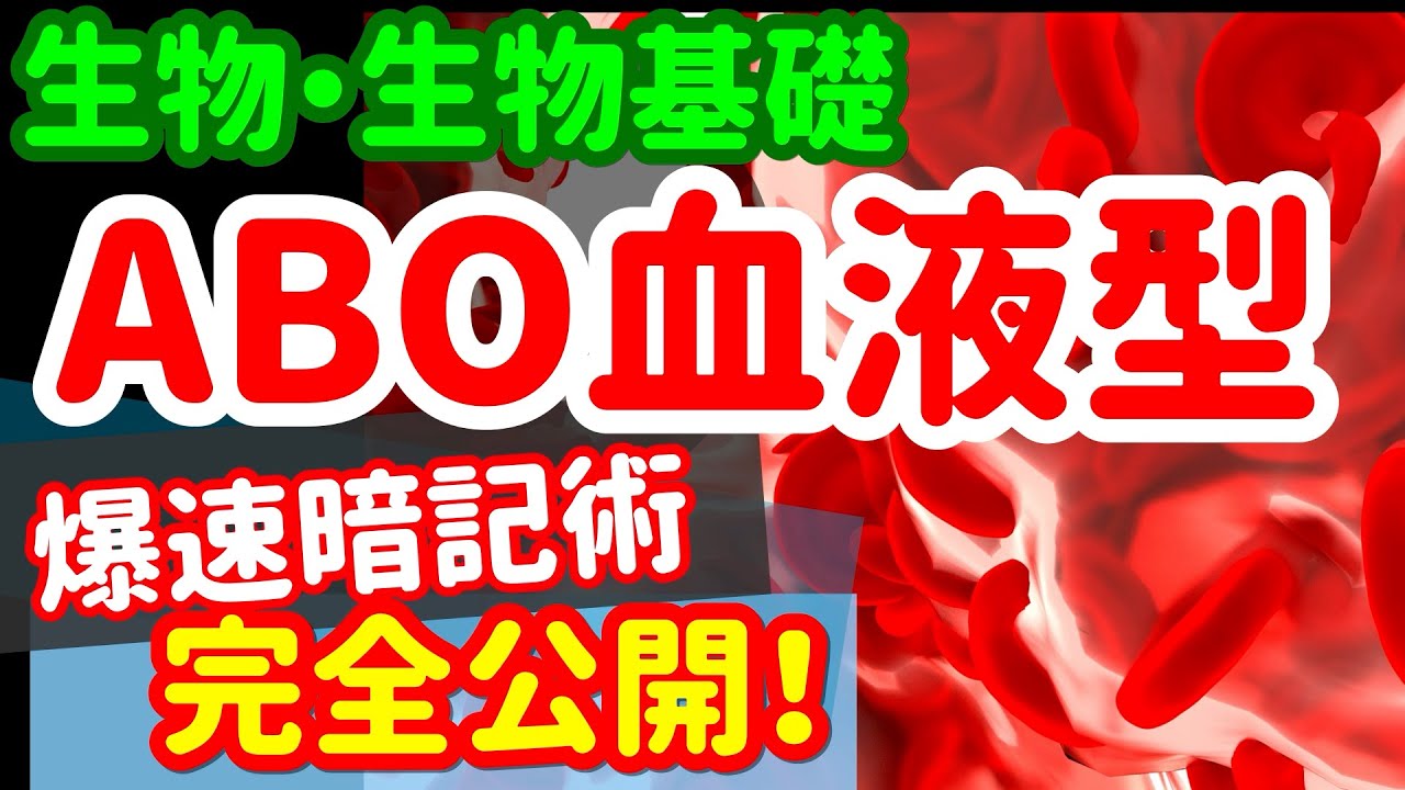 【生物基礎 50】恒常性【ABO式血液型】を宇宙一わかりやすく