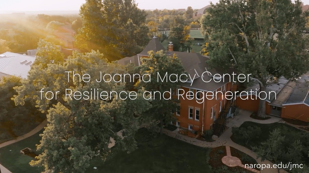 Conscious Being: Wisdom of Joanna Macy