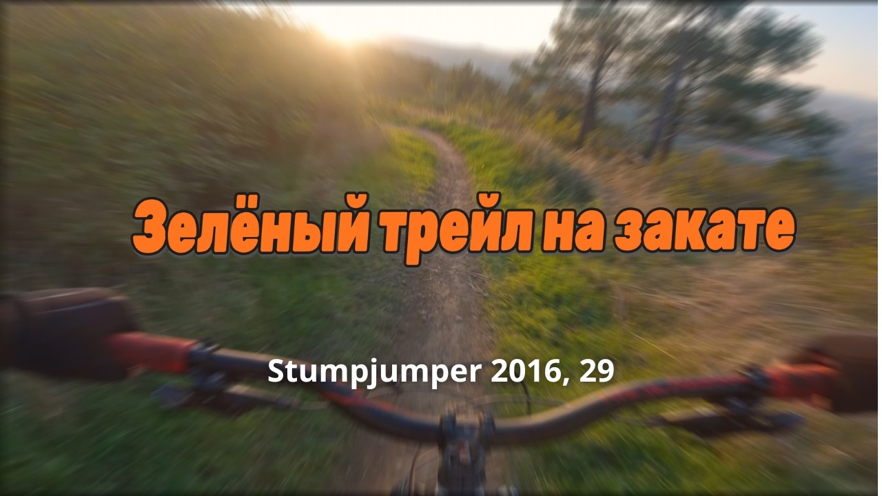 Tbilisi MTB | Зелёный трейл на Черепашьем озере | Green Trail at Turtle Lake, Vake Park
