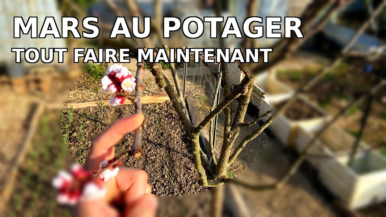 Si vous jardinez en mars, regardez &ccedil;a !