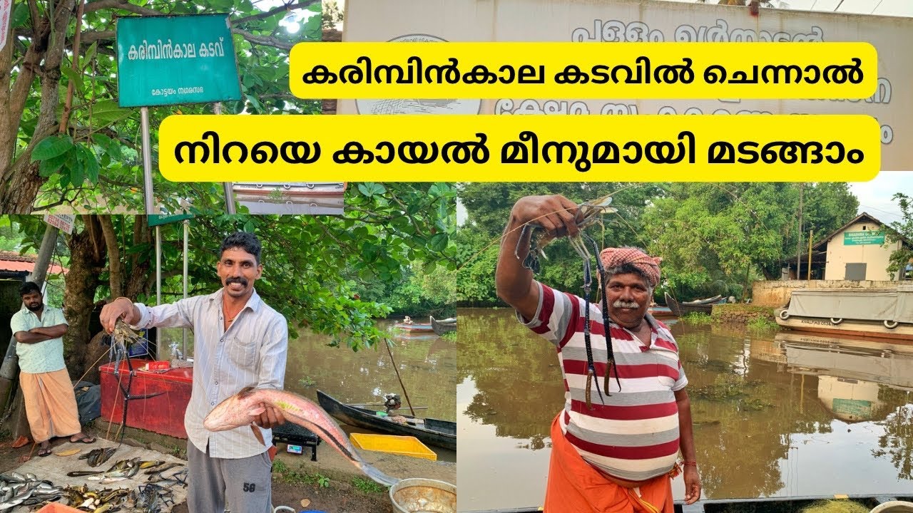 കരിമ്പിൻകാല കടവിൽ ചെന്നാൽ നിറയെ മീനുമായി മടങ്ങാം | Fish Market | Kottayam | Shyju Vlogger |