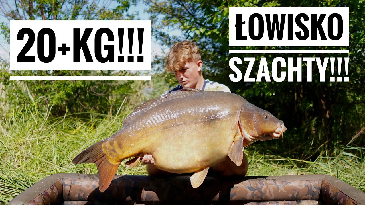 WYMARZONY KARP 20 kg!!! - Łowisko Szachty - Wędkarstwo Karpiowe