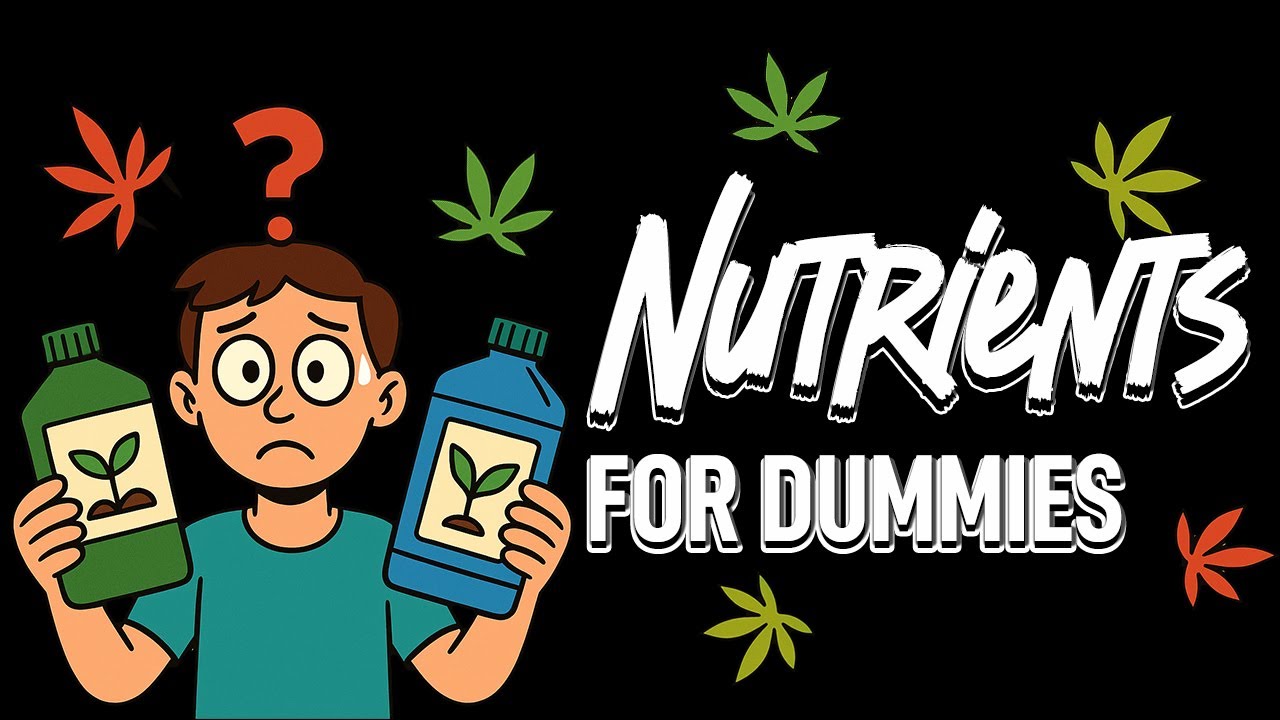 🌱 Полное руководство по удобрениям для каннабиса 💡 Освойте NPK, питательные вещества и выращивайт...