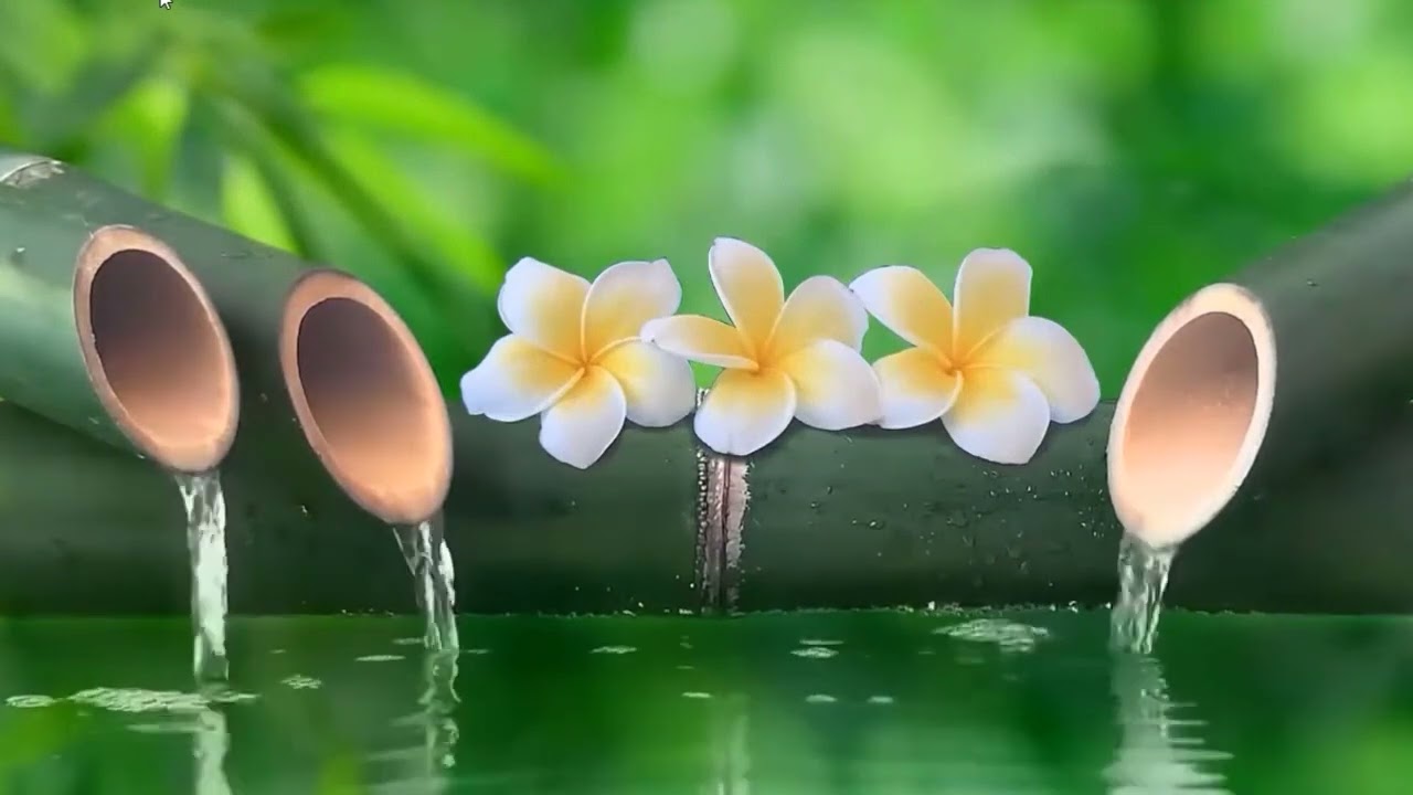 Musica relajante para dormir 🍃 Piano y agua corriente para meditaci&oacute;n y sue&ntilde;o profundo