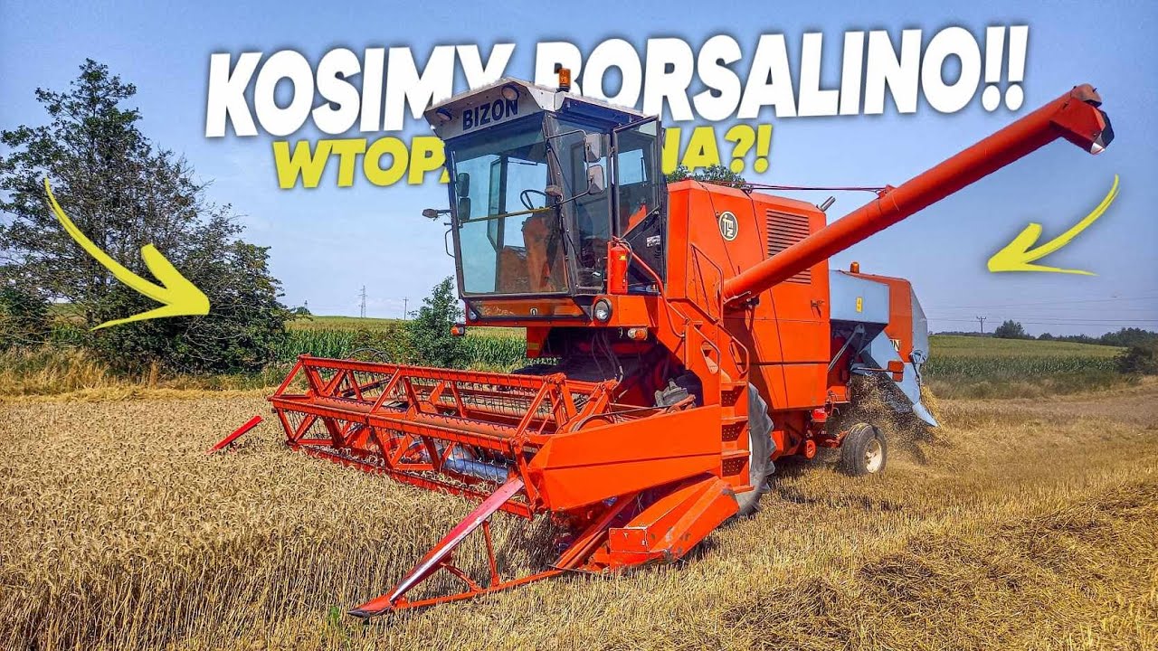 Czas na Borsalino!🌾Za Sterami Biozona!🔥NIEMENÓWKA#61